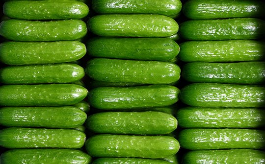 cutecumber gallery bottom middle