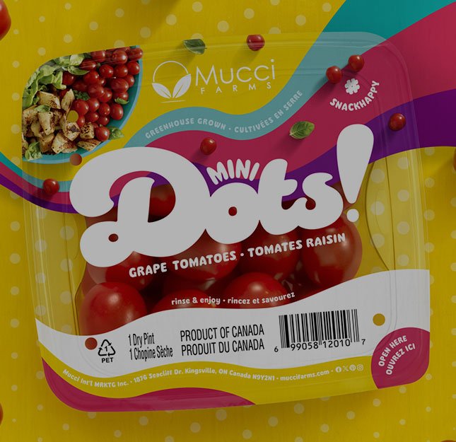 Dots_BOTTOM-RIGHT_video