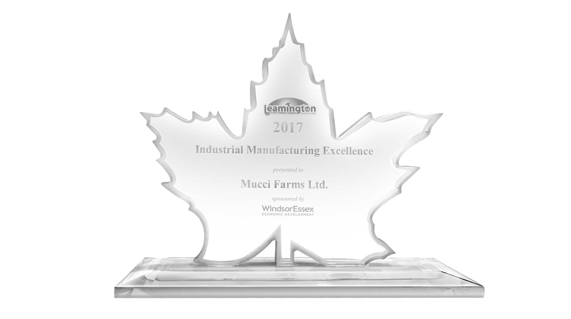 leamington business excellence award header image