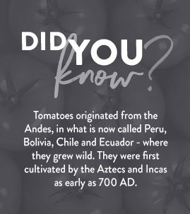 homepage did you know 01 optimized