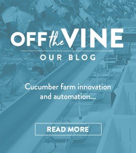 {{ page.featured_off_the_vine_post.post_title }}