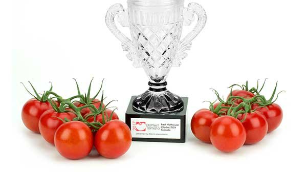 leamington greenhouse competition index image