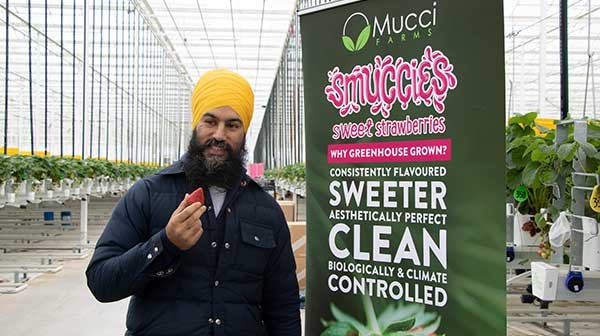 jagmeet index image