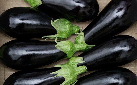 eggplant gallery bottom middle