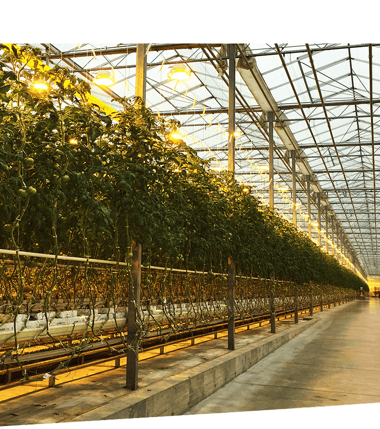 about our farms right image 01 new