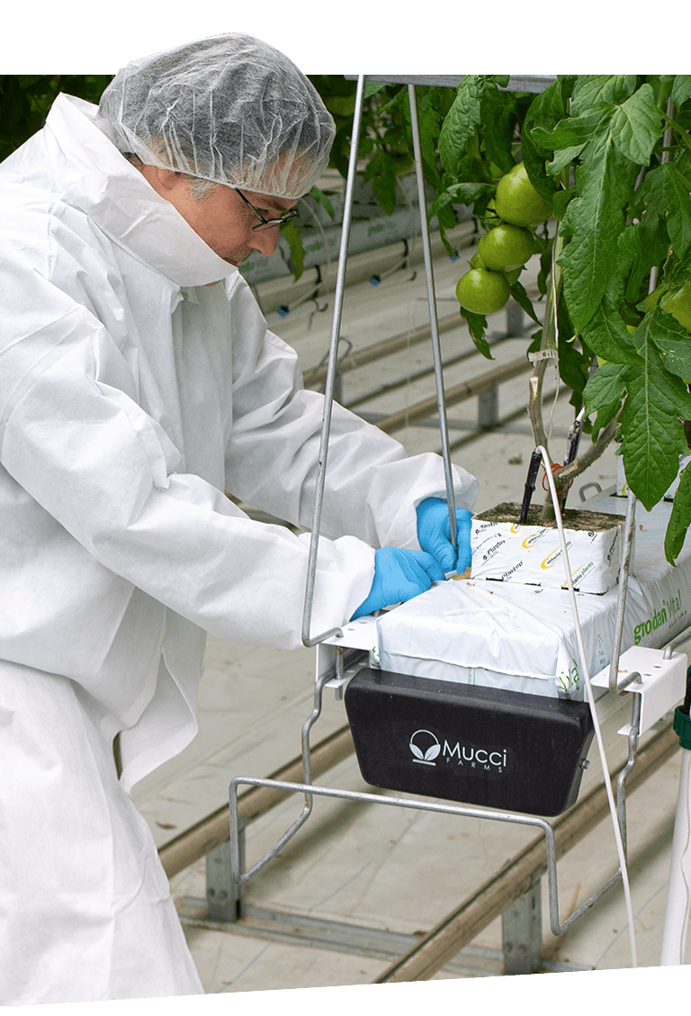 food safety right new 2