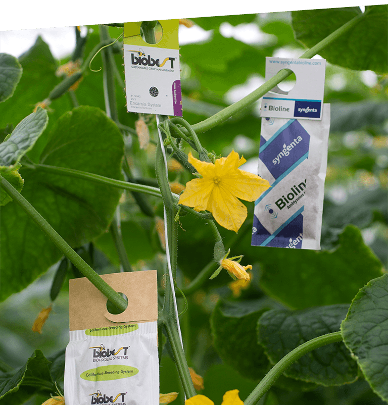 sustainability left image 02 new