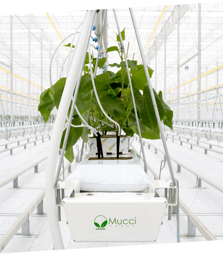 sustainability img new