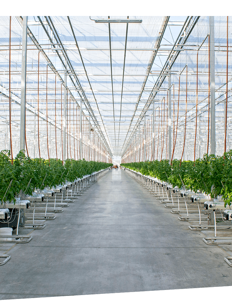 why greenhouse grown right image 01 new
