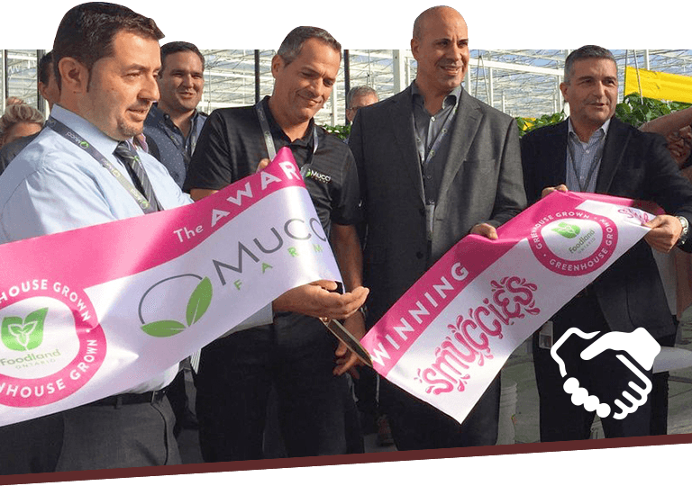 partners in produce new