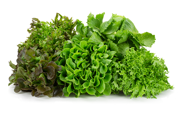 Naked Leaf Living Lettuce Loose Product Shot