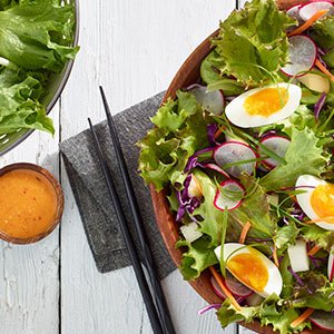 Recipe-Index-BG_Spicy-Asian-Salad
