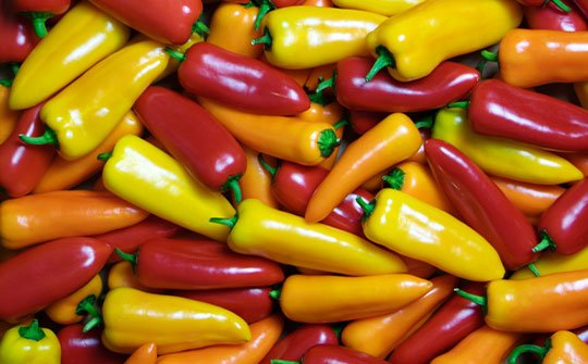 Senza-Seedless-Sweet-Peppers_BOTTOM-MIDDLE_img