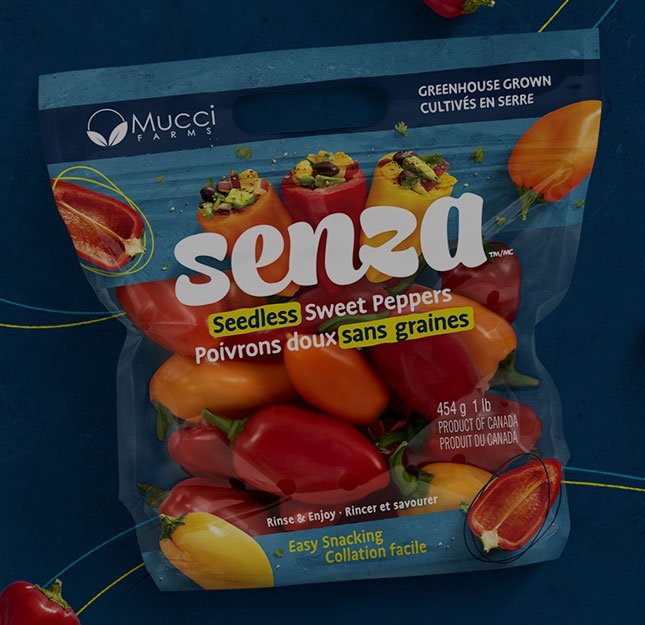 Senza_BOTTOM-RIGHT_video