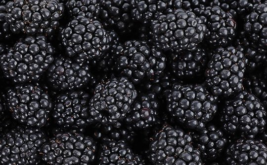 Smuccies-Blackberries_BOTTOM-MIDDLE_img_rev4.jpg