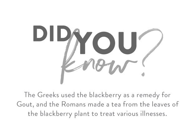 Smuccies-Blackberries_DidYouKnow_02.jpg