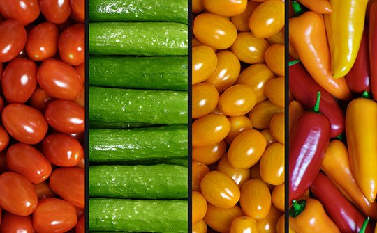veggies gallery bottom middle