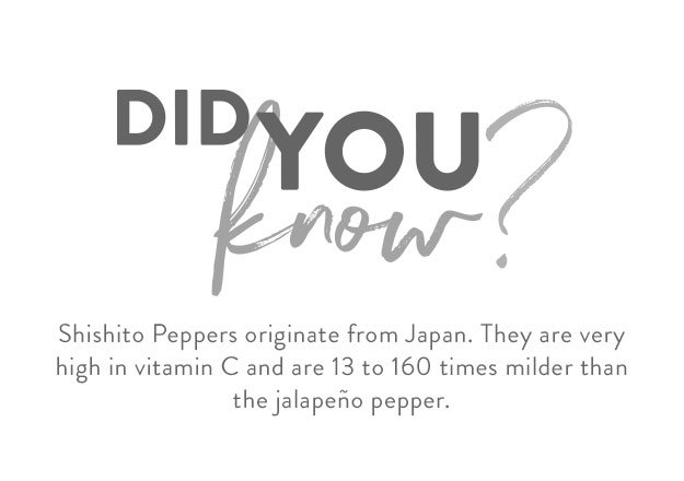 Zingers did you know 01